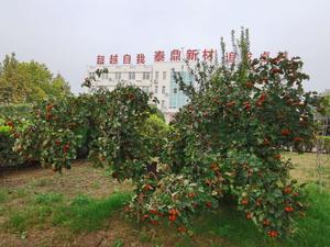 文章附图